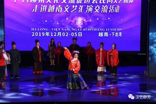 文化交流, 漢藝群芳 走進(jìn)越南......